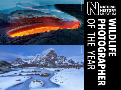 03 - W.B.W.P. (homepage)